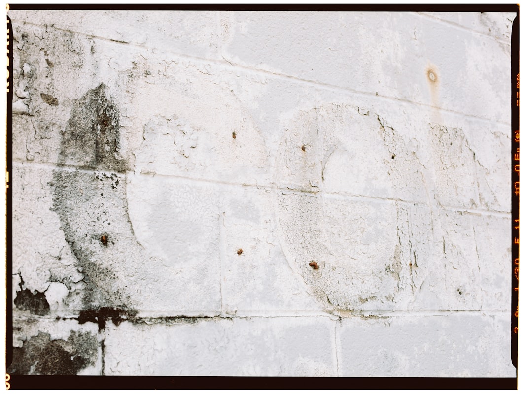 Storm Damage Repair service in Pontiac, MI