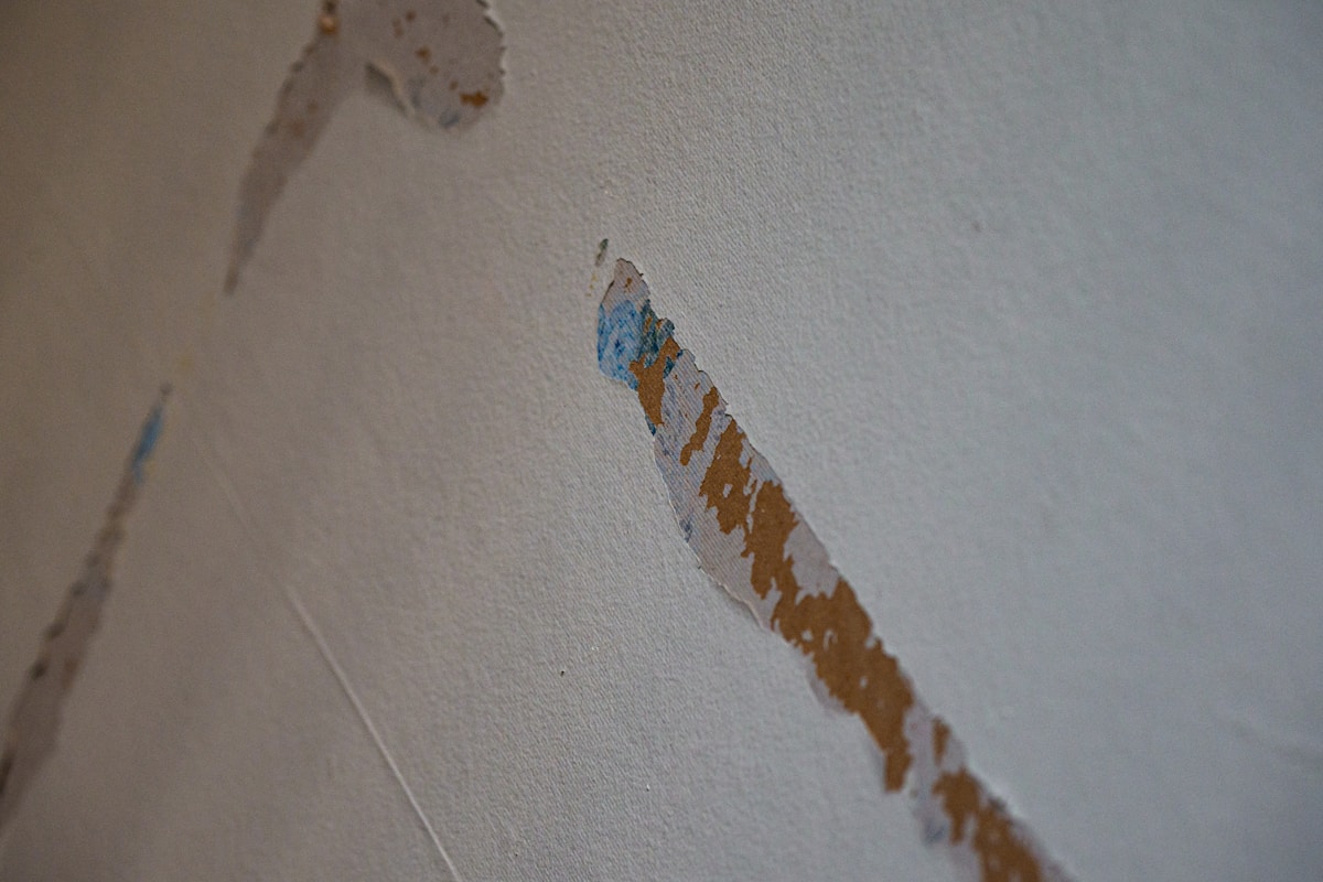 Mold Remediation service in Pontiac, MI